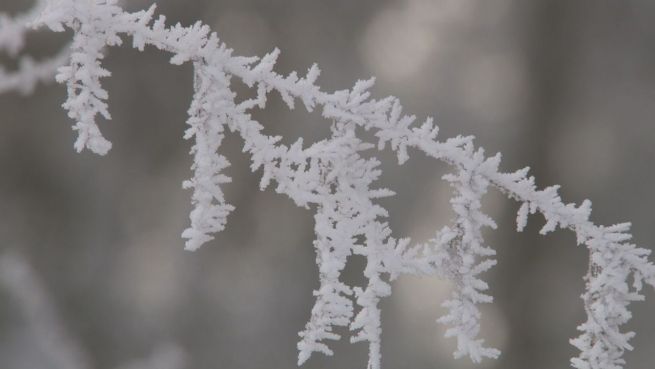 go to Weißes Moor und Eiszapfen: Die schöne Seite des Winters