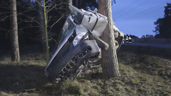 go to In 8 Metern Höhe: Auto prallt gegen Baum