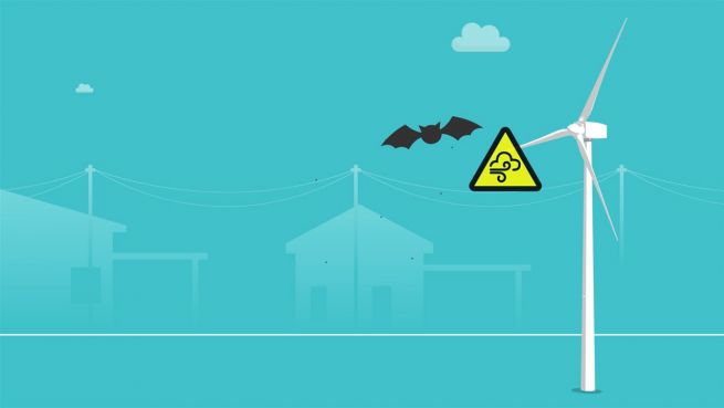 go to Batman in Gefahr: Schweden bangen um Fledermäuse