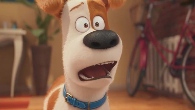 go to Tierisches Vergnügen: Diese Filme heizen uns bald ein