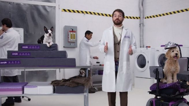 go to Schlafen wie ein König: Komfortable 'Couch' für Tiere