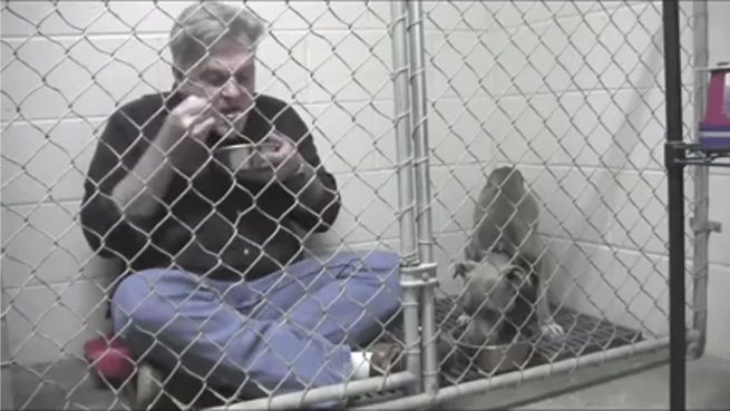 go to Zusammen im Käfig: Tierarzt isst mit geretteter Hündin