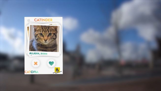 go to Catinder: Neue Dating-App für einsame Kätzchen